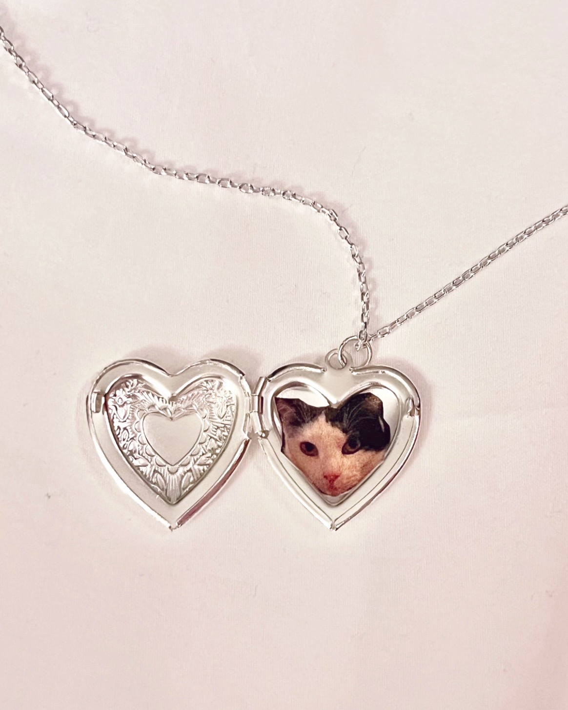 a picture of my cat in a silver heart locket