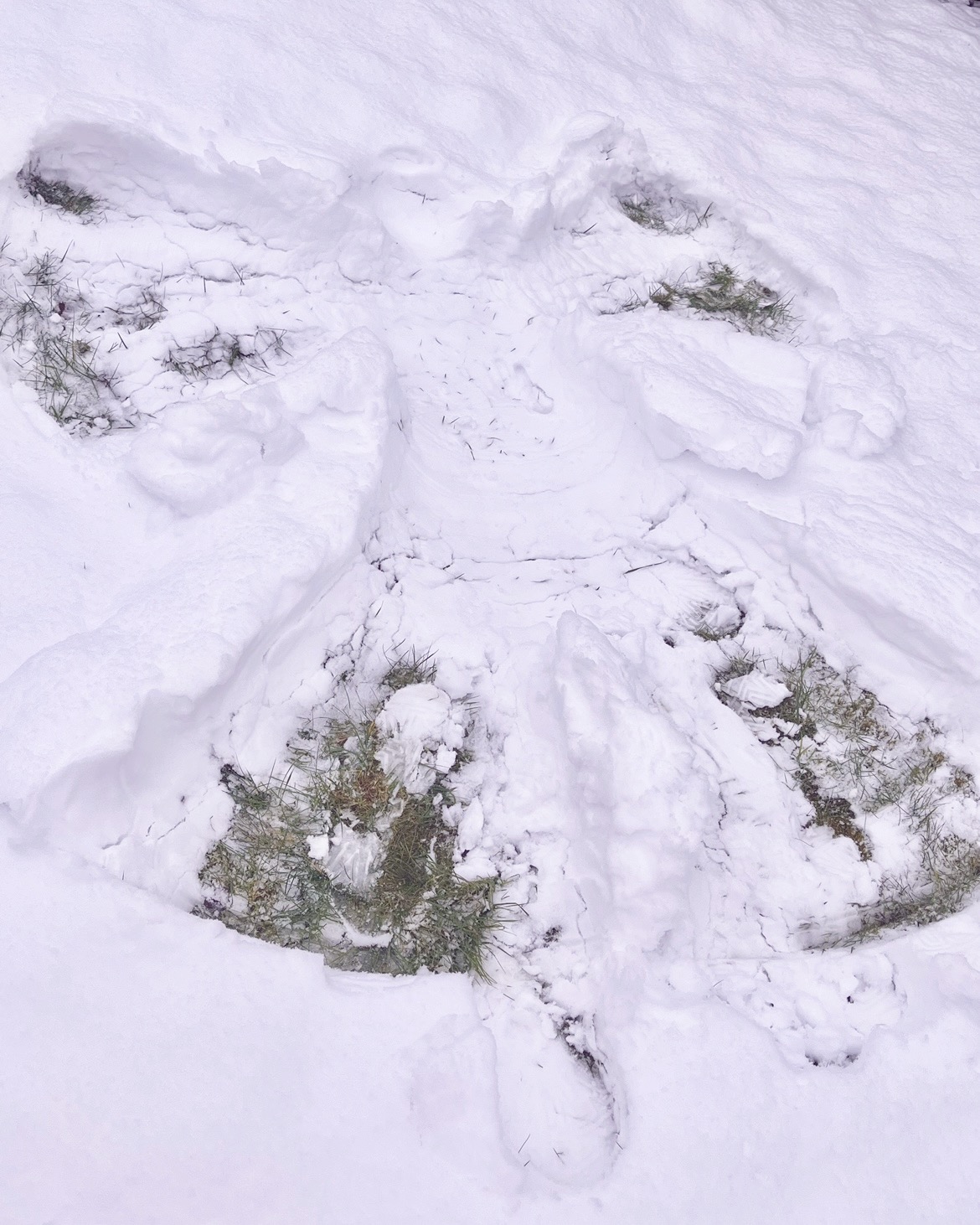 a snow angel